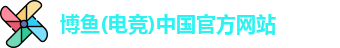 博鱼(电竞)中国官方网站